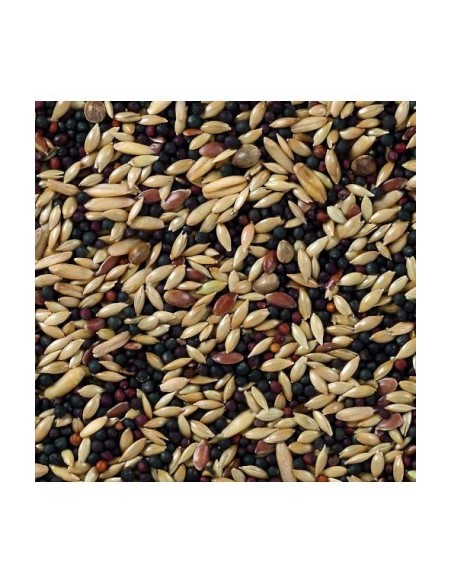 CANARIOS BASE DELI NATURE 20 KG - 