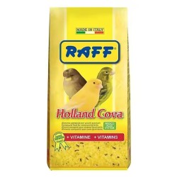 RAFF HOLAND COVA 300 G 20 UNIDADES - 