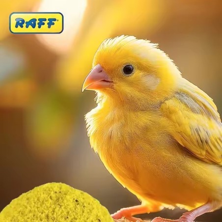 RAFF HOLAND COVA 300 G 20 UNIDADES - 