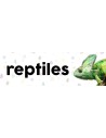 Reptiles